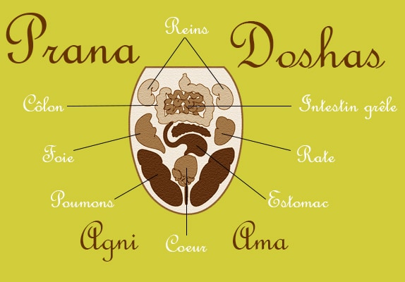 consultation ayurvedique