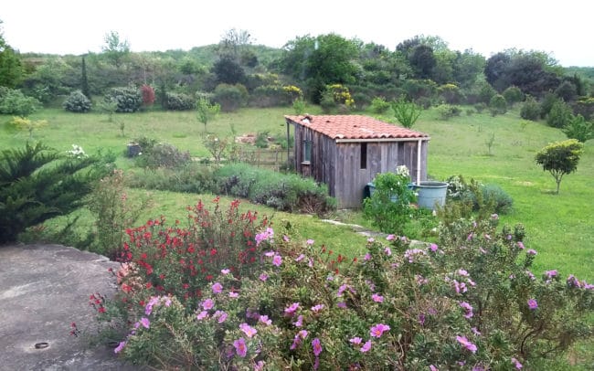 Rani Ayurveda jardin