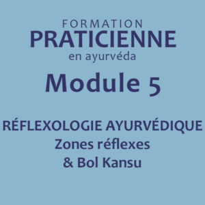 Formation-praticienne-en -ayurveda